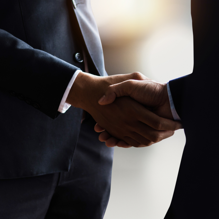 Government partnership